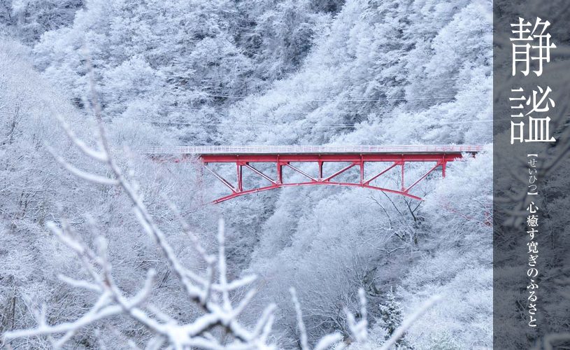 雪の中の橋のアップ