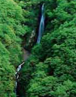 緑の中の七味大滝